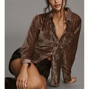 ANTHROPOLOGIE Pilcro Sheer Long-Sleeve Velvet Burnout Shirt